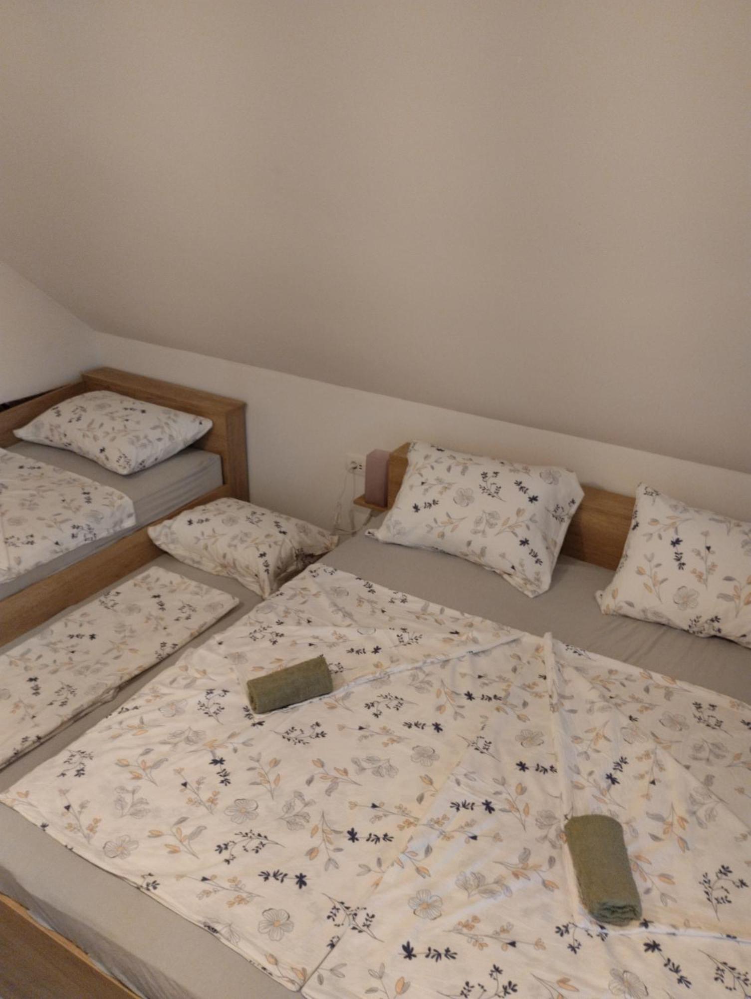 Apartma Sveti Duh Nova Vas  Exterior photo