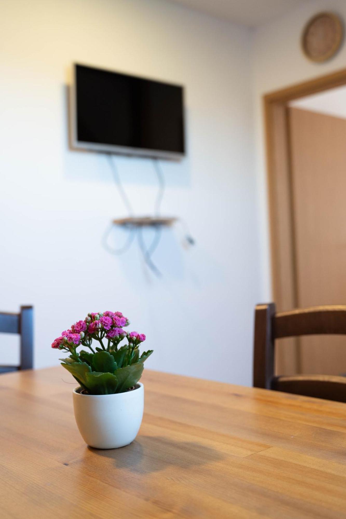 Apartma Sveti Duh Nova Vas  Room photo
